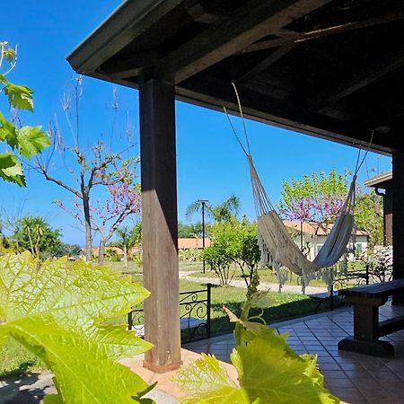Agriturismo Ninea 리카디 외부 사진