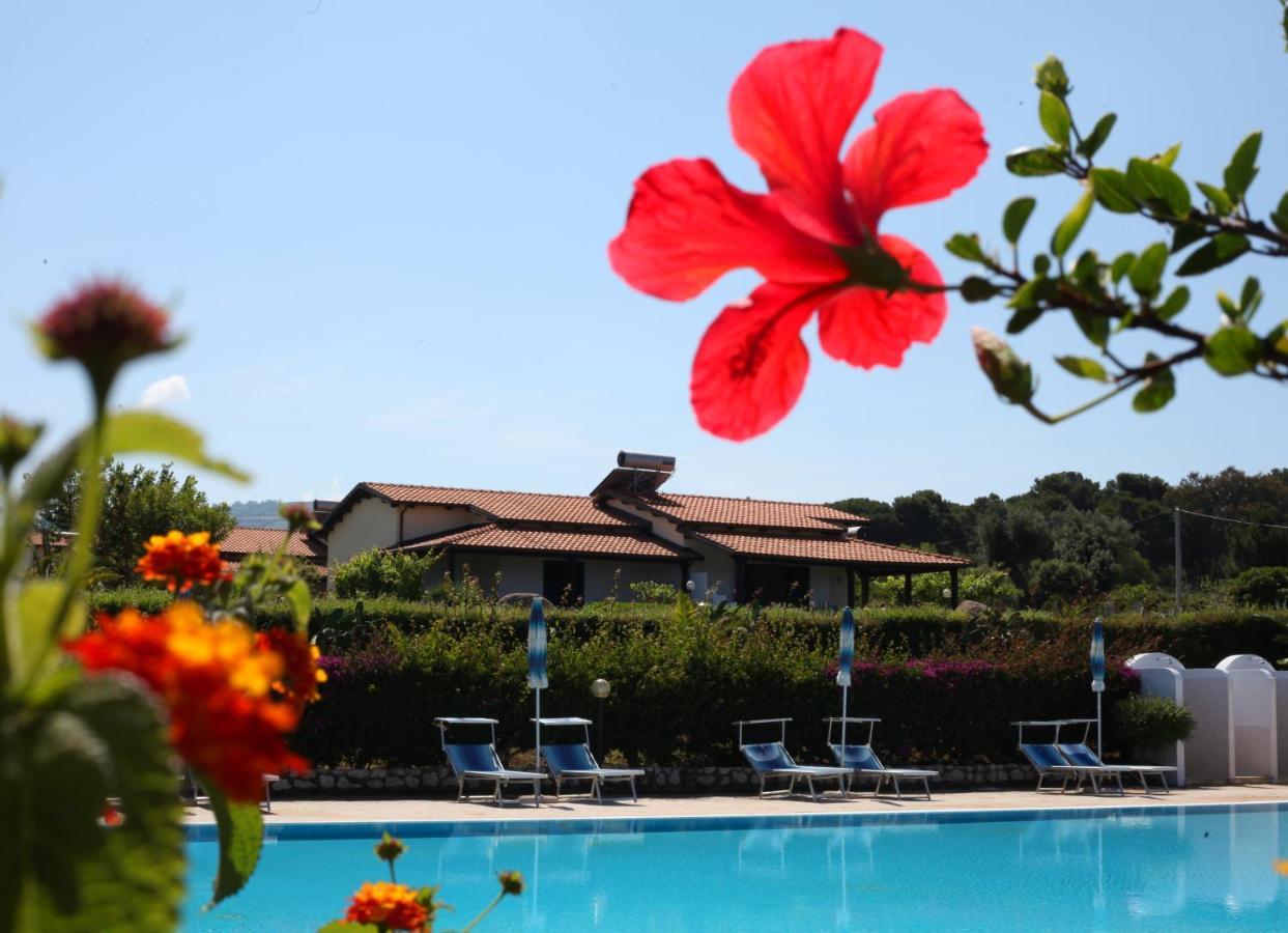 Agriturismo Ninea 리카디 외부 사진
