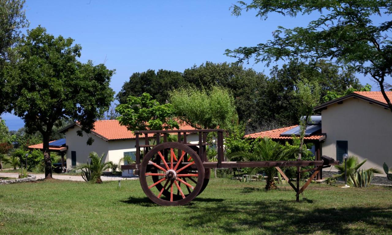 Agriturismo Ninea 리카디 외부 사진