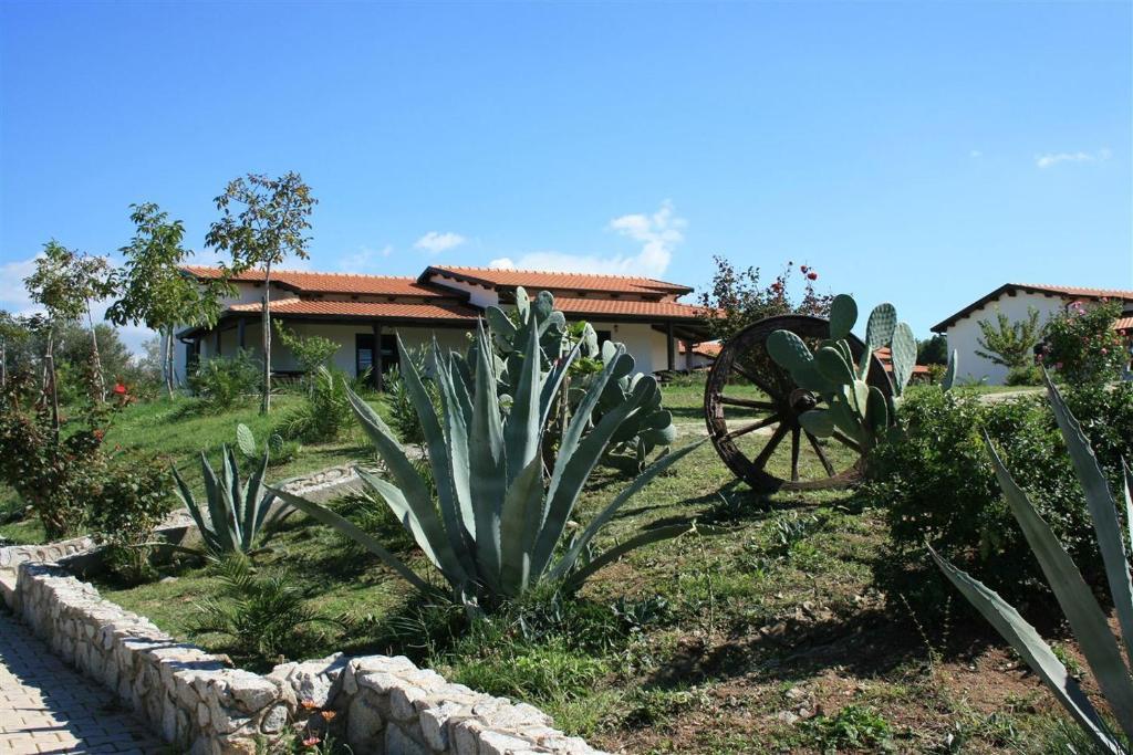 Agriturismo Ninea 리카디 외부 사진