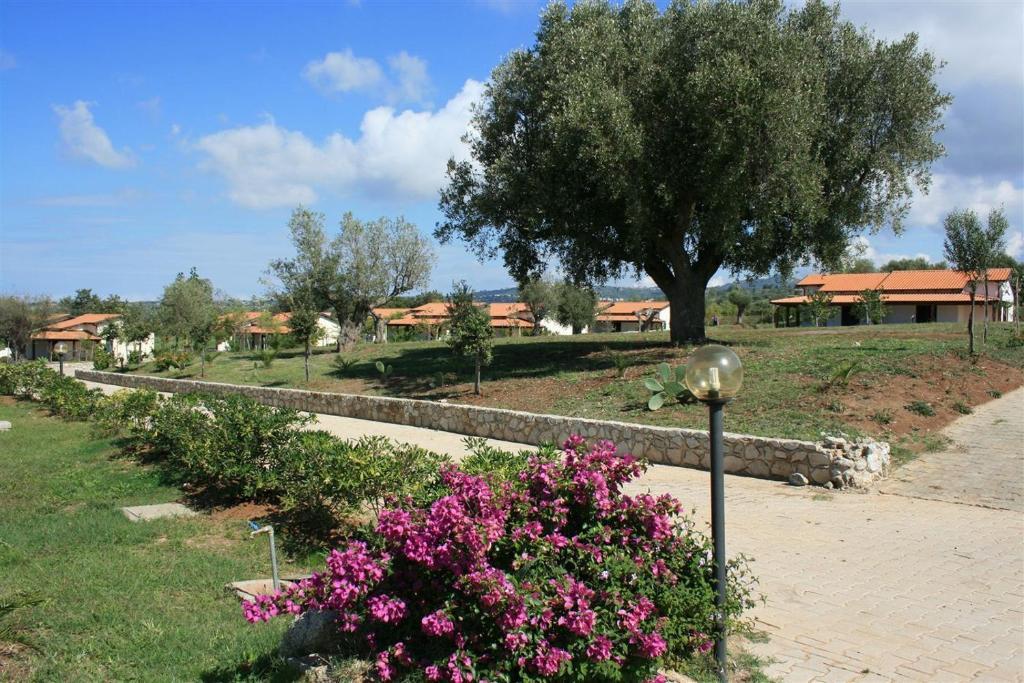 Agriturismo Ninea 리카디 외부 사진