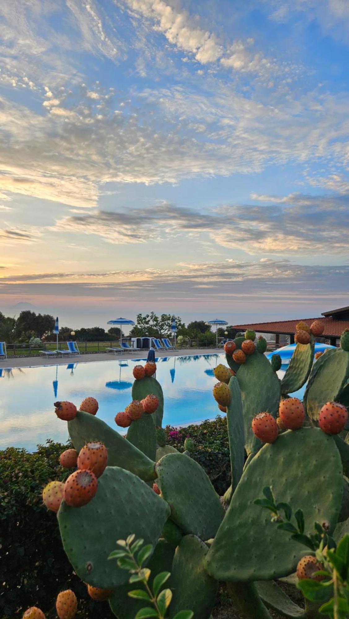 Agriturismo Ninea 리카디 외부 사진